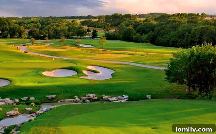 Craig-ranch-TPC-overview
