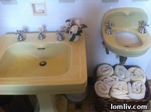 Original guest bathroom with antique dental sink
