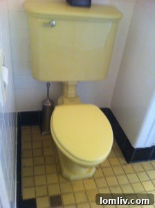 Color-coordinated toilet in original bathroom