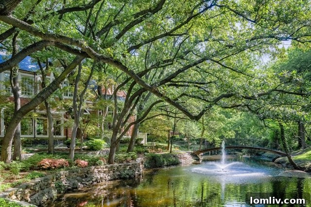 Charming bridge crossing a peaceful creek within the grounds of 9250 Meadowbrook