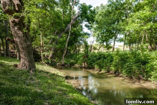 2304-Provine-McKinney-creek1 - Serene Creek Flowing Through the Property's Wooded Area