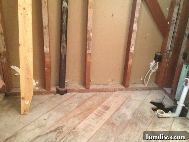 Mid-Century Marvels: Renovating a 1950s Home Uncovers Timeless Craftsmanship 2 IMG_7312