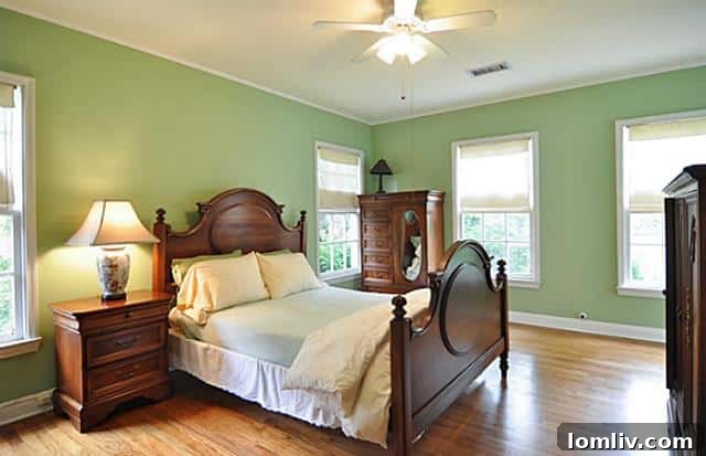 Master bedroom with natural light