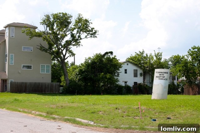 Gentrification in Houston's Third Ward