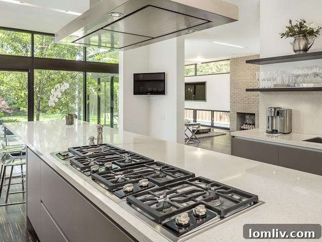 3501 Euclid Avenue - Modern Kitchen Interior
