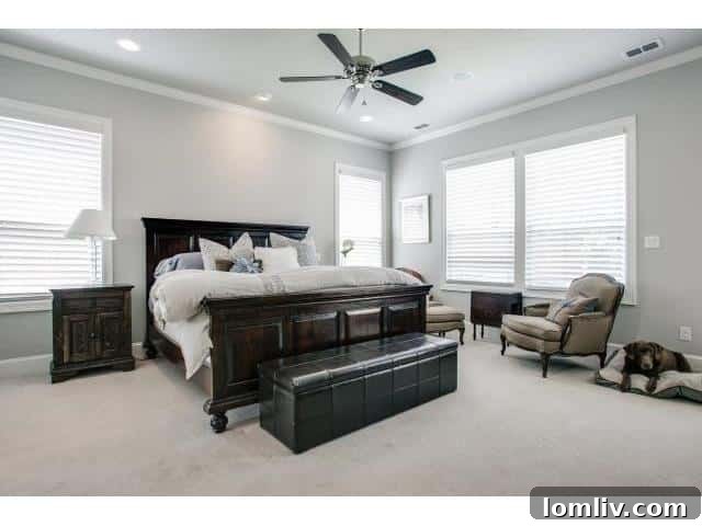 9748-Spring-Branch-Drive-master-w-dog