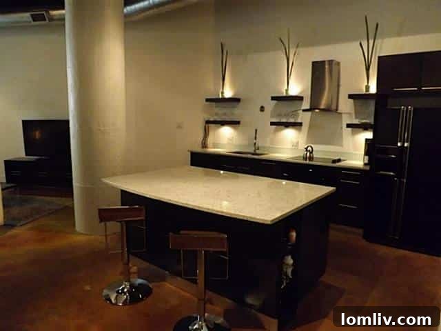 Gourmet Kitchen at 2220 Canton Loft