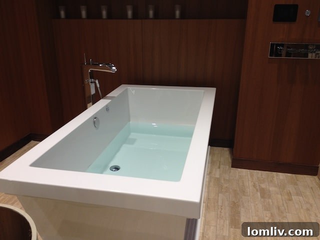 Bathtub-fancy