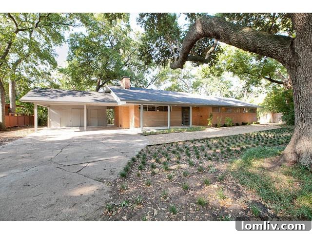 10305 Crittendon: Stunning Mid-Century Modern Rental in Dallas