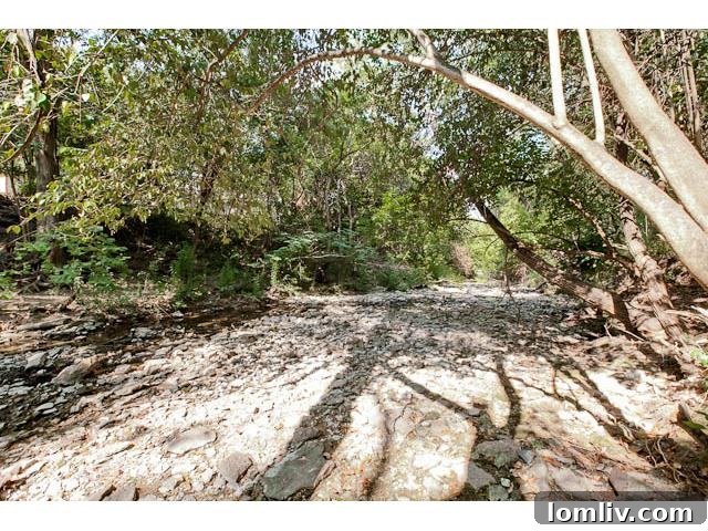 Expansive Creek-Frontage Lot Offering Privacy and Natural Beauty