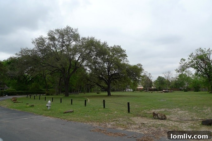 An additional view of Mark Cuban's Preston Hollow property, highlighting its potential for luxury residential development