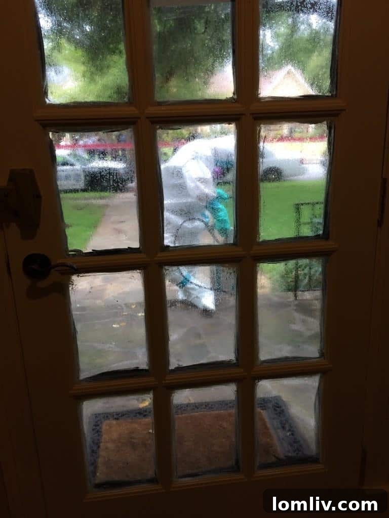 Dallas Nurse Becomes Nation's First Domestically Acquired Ebola Case, Second Overall 6 Close-up of a hazardous waste containment unit