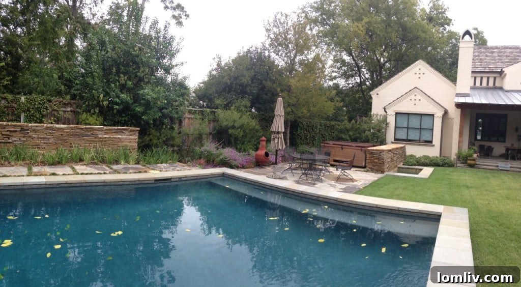 Lakeside home renovation Dallas featuring a contemporary pool