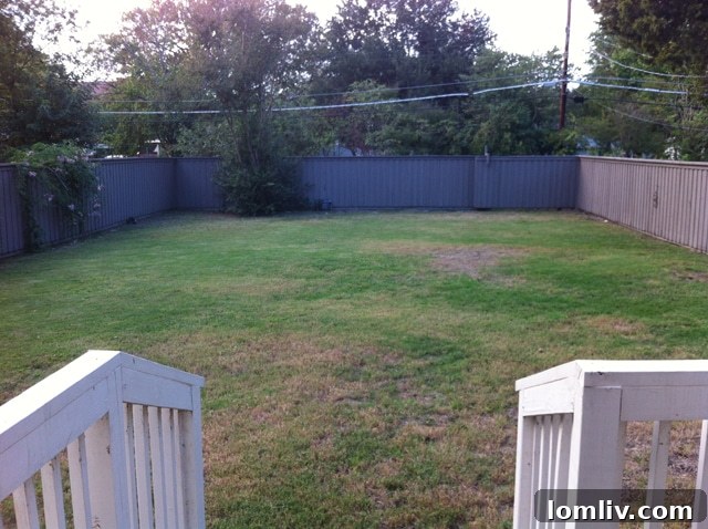 8919 Forest Hills Blvd Spacious Backyard