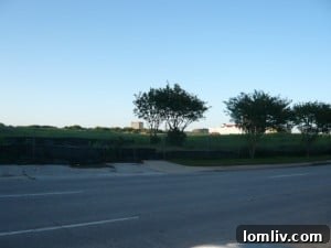Walnut Hill undeveloped land in 2007