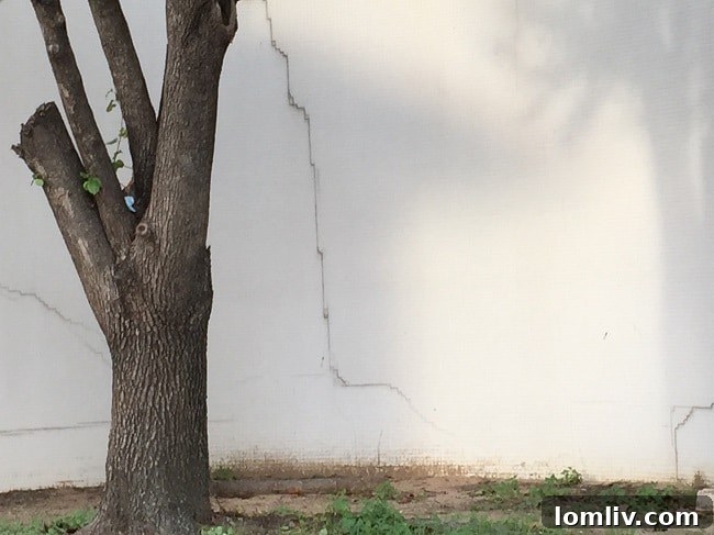 Detailed view of cracks on the aging facade of the Cabana Hotel in Dallas