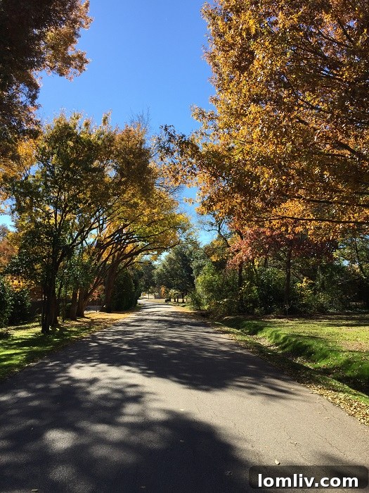 Fall-2014