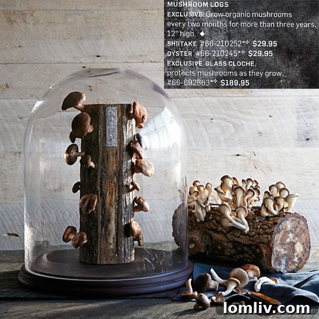 mushroom-logs