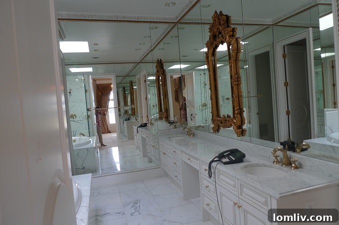 Elegant guest bathroom or secondary master bath