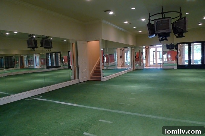 Sports-themed room or recreation area