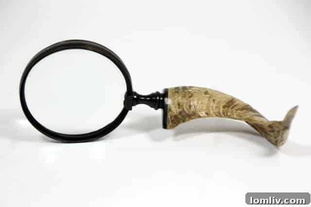 Elegant horn magnifying glass, a sophisticated and practical accessory for any desk or study