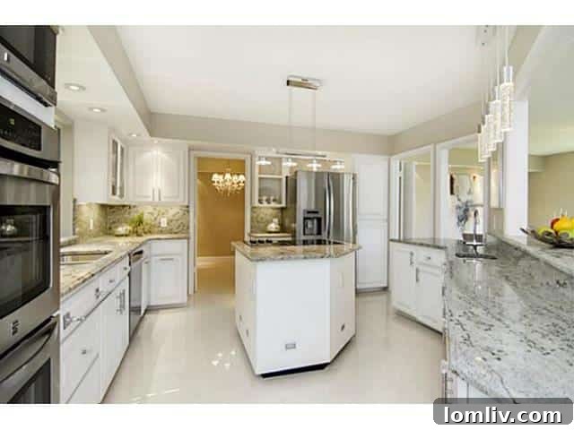 Modern Renovated Kitchen with High-End Finishes