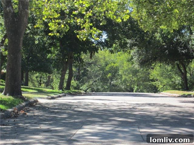 Seeking East Dallas Midcentury Original Hardwoods This Christmas 7 Lush, tree-lined street view in Lake Park Estates, highlighting the serene environment near 9835 County Cork Dr