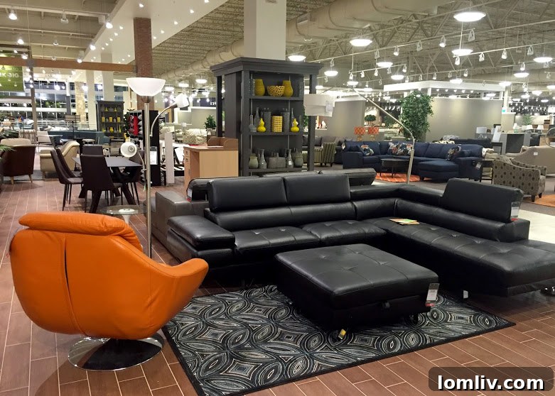 Stylish Modern Couches on Display at Nebraska Furniture Mart
