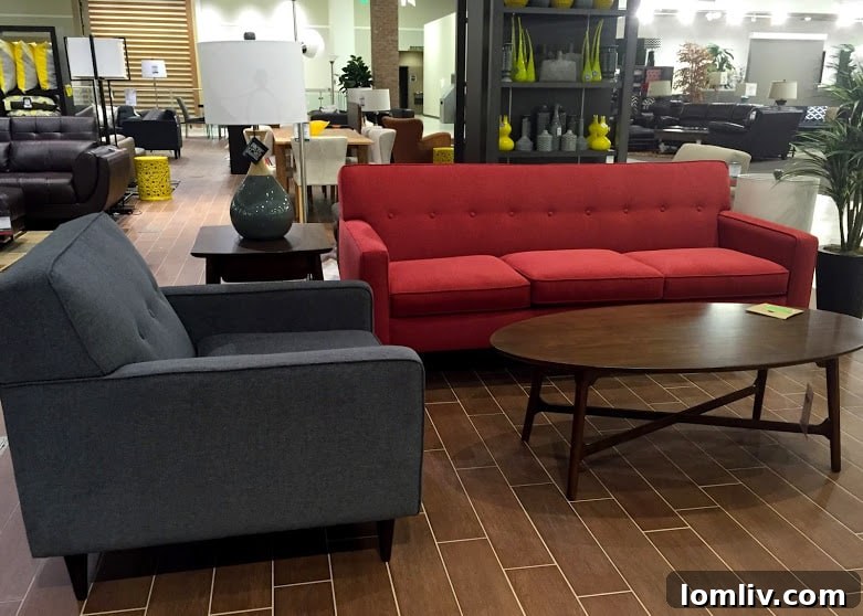 Elegant Modern Couches and Contemporary Furniture