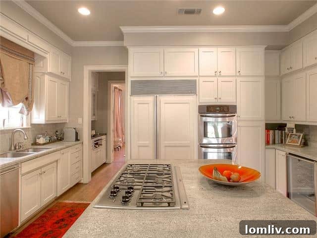 Kitchen Detail - Granite Countertops and Wine Cooler