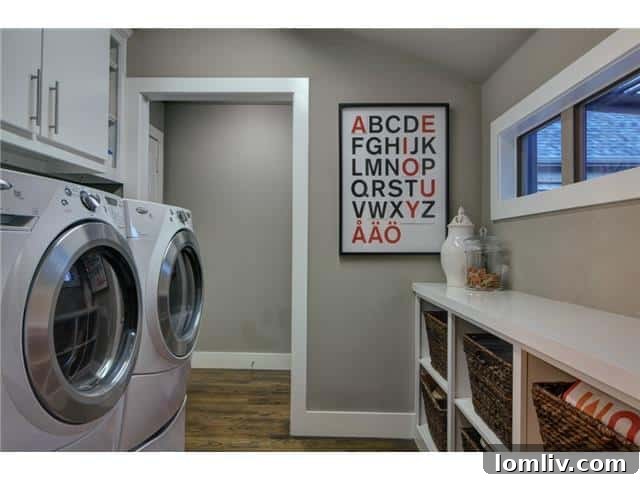 4135-Lively-Laundry