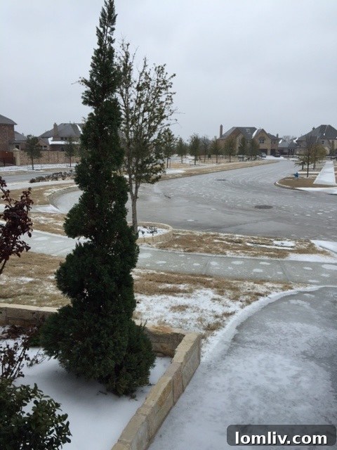 Frisco-ice-3