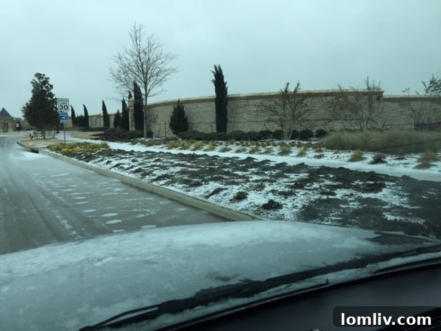 Ice-Frisco-1