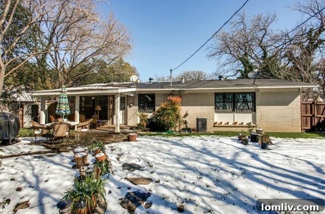Outdoor Seating Area and Garden Potential in Dallas Home Backyard