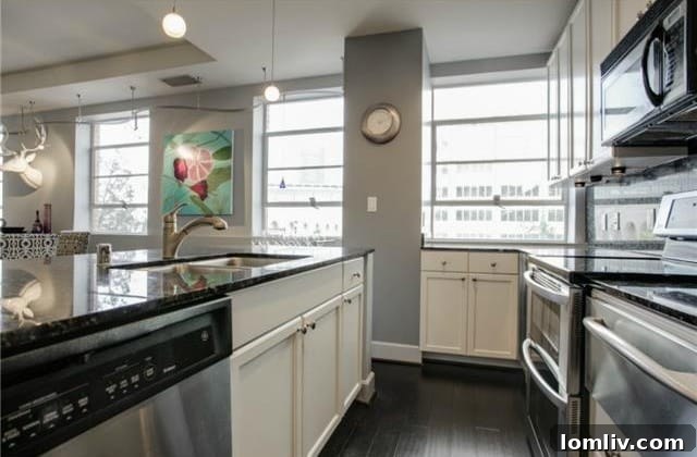 Modern Kitchen Appliances 1505 Elm Dallas Condo