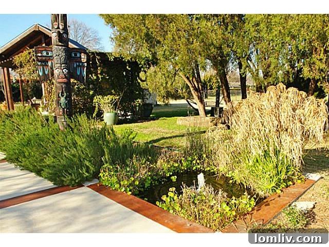 Tranquil Koi Pond Feature in the Estate Garden