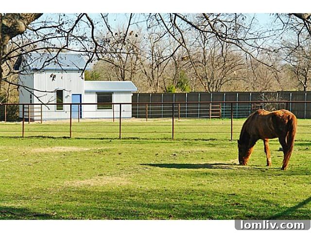 Lush Fenced Pasture for Horses at the Equestrian Estate