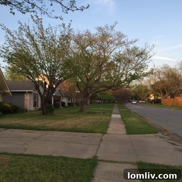 LBJ-House-hood