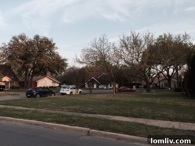 LBJ-House-hood-2