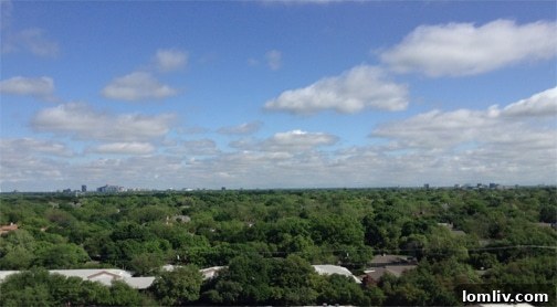 View-Small