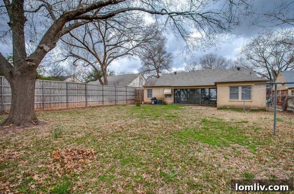 Mature Tree and Sprinkler System in Backyard