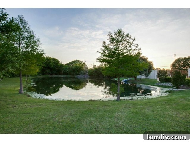 Serene Private Pond on the Property