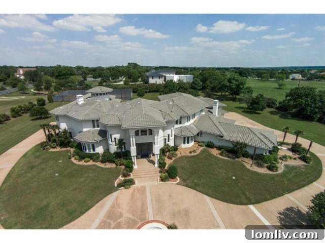 Aerial Perspective of the Grand Estate
