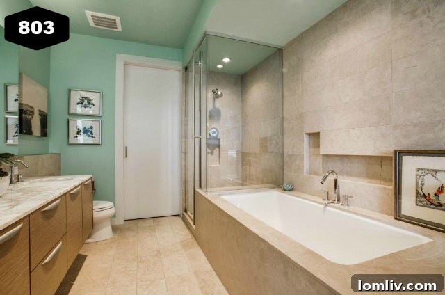 Azure Condo Master Bathroom 2