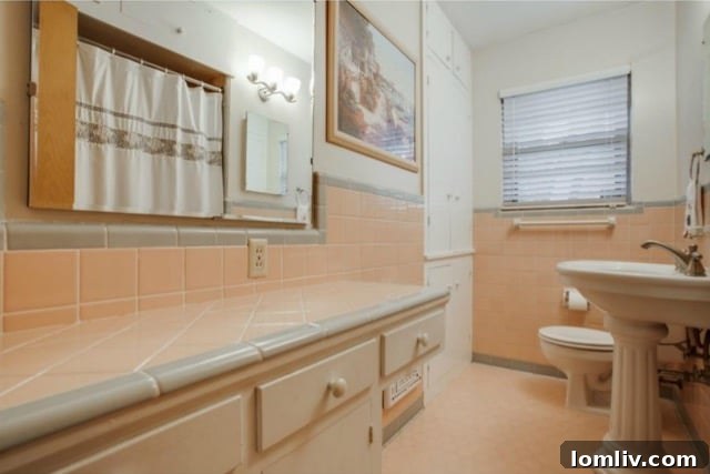 Ridgewood Park Midcentury Gem Offers Expansive Living, Price Slashed $25K 15 6424-E-Lovers-Q