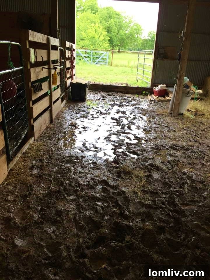 Kellys-barn1