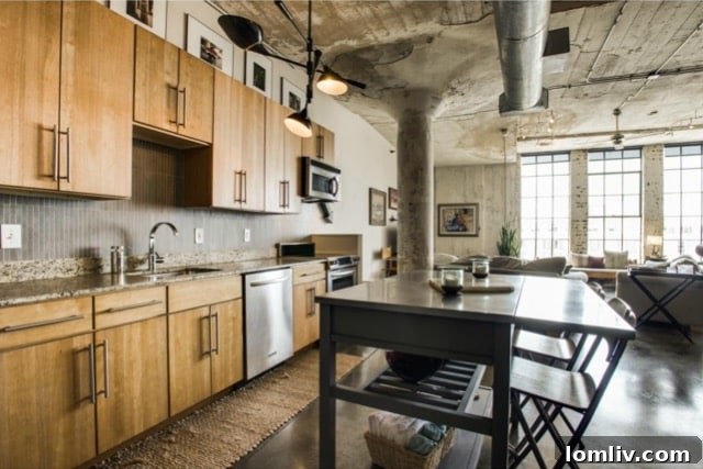 Open Kitchen with Granite Countertops in Dallas Loft