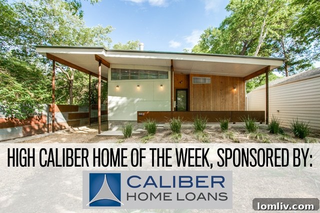 8813 Diceman Front - Modern Eco-Friendly Home in Little Forest Hills, Dallas