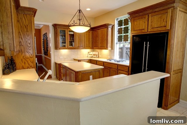 Well-Appointed Kitchen for Culinary Enthusiasts