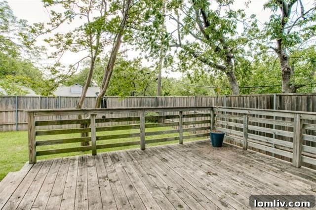 731 Lipscomb Ave Backyard - Deck
